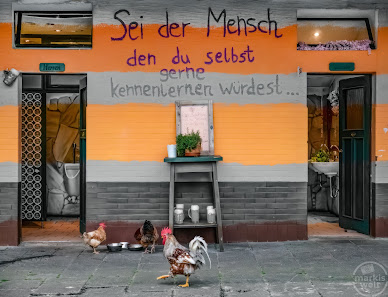 markis welt – Bild 4