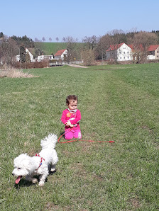Antje Scherf VerSCHERFt – Bild 2