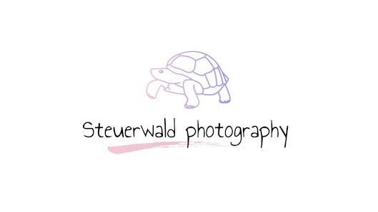 Steuerwald Photography – Bild 4