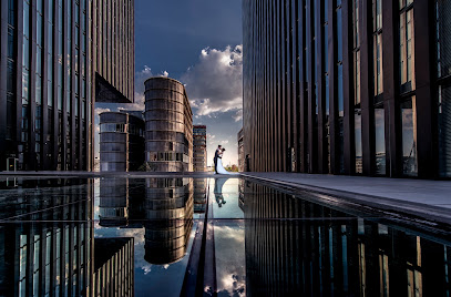 Wedding arts Photography