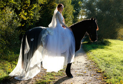 Schenk-Art Fotografie – Bild 5
