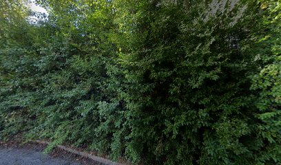 Lübbe-Fotografie Wilhelmshaven
