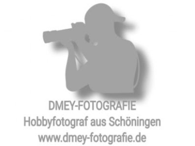 Dennis Meyer Hobbyfotografie – Bild 3