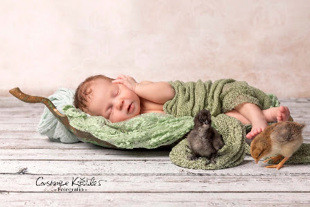 Constanze Köhler -Fotografin- Porträtstudio – Bild 3