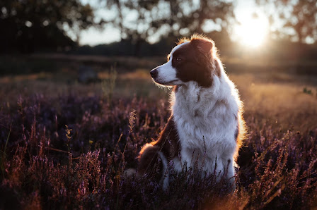 Andrea Hannig Fotografie – Bild 5