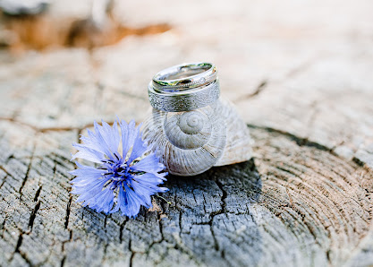 Harzliebe Fotografie – Bild 4