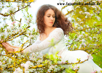 fotostudio-anhalt.de – Bild 2