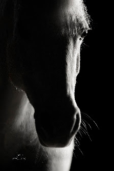 Coralie Duda Fotografie – Bild 3