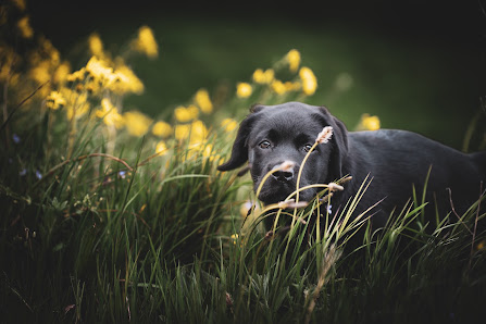 Yvonne Mey Photography – Bild 2