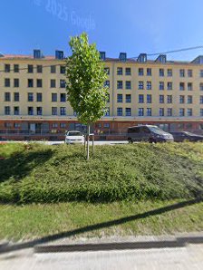 Hundefotografie Lindner Osnabrück – Bild 4