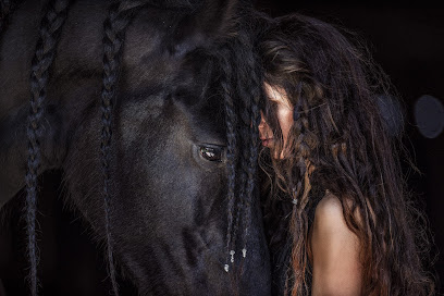 Alexandra Evang Photographie