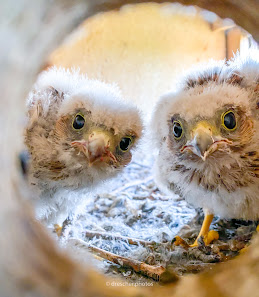 Albert Drescher Fotografie – Bild 6