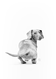 Herz & Seele Fotografie – Bild 2