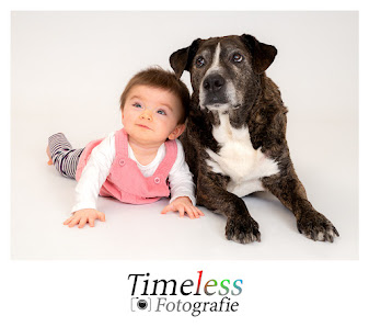 Timeless Fotografie – Bild 6