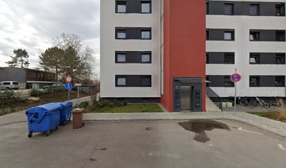 Picturize Fotografie