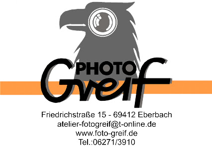 Foto Greif – Bild 3