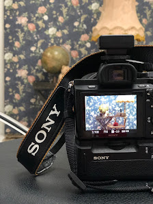 Fotostudio P2 Pia Pirrung – Bild 6