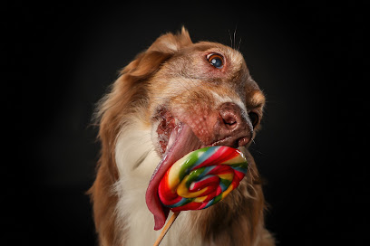 Jeanette Grottendiek Fotografie by Dog Paparazzi