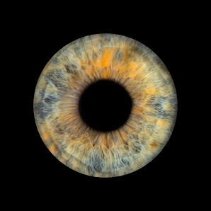 OCULUS REGENSBURG - Professionelle Iris Fotographie – Bild 3