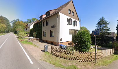 Wald Live-Photo Gemballa