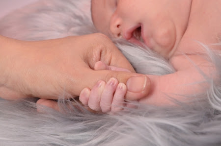 Kaiser Photographie – Bild 4