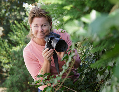 Michaela Ullrich Fotografie – Bild 2