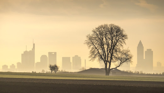 Jan Schuster Fotografie – Bild 2