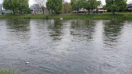 Luftpanorama Ulm Donaumitte