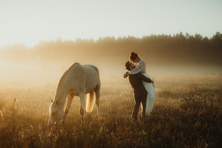 Joliegraphie – Tierfotografie & Grafik-/Webdesign – Bild 3
