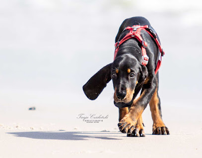 Tierfotografie Tanja Czichotzki