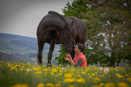 Thomas Beyer Fotografie – Bild 2