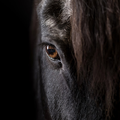 Benjamin Kottysch Photography