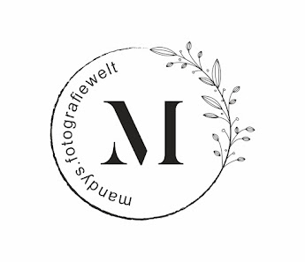 mandys.fotografiewelt | Schwangerschaftsfotos, Babyfotos, Familienfotos – Bild 3