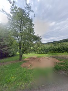 Laura Gmeiner Fotografie – Bild 6