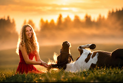 Pferdefotografie Allgäu & Bodensee M.Kesenheimer