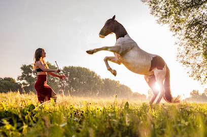 Julie Peters Fotografie und Grafikdesign