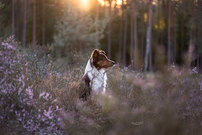 Alexandra Schlafke Fotografie