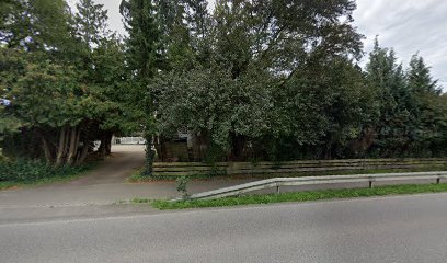 Photo-Paradies