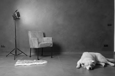 Edys fotografie – Bild 2