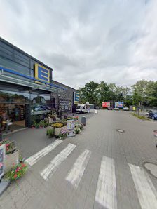 CEWE Fotostation – Bild 3