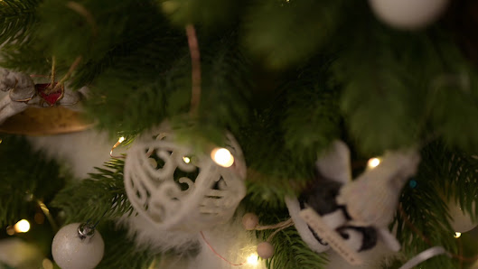 Patricia's Photo – Bild 7