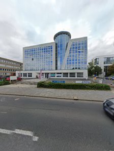 BSF Swissphoto GmbH – Bild 4
