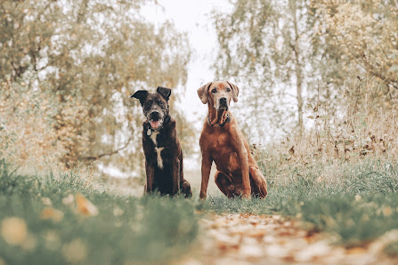 meike engel fotografie – Bild 9