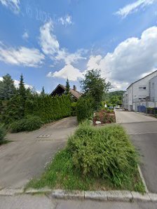 Echt Bunt Wild – Bild 2