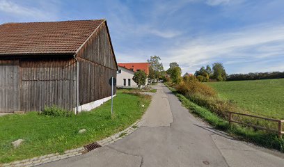 Fotohenne