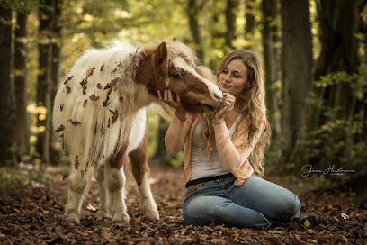 Jana Hartmann Fotografie