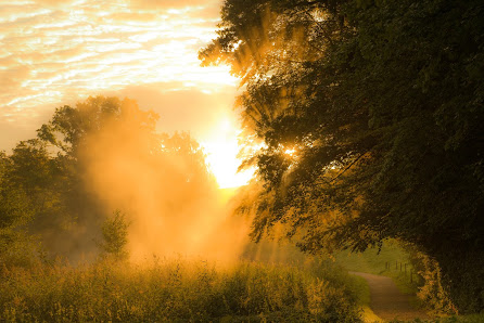 Martin Weber - m.weber-photoworks – Bild 2
