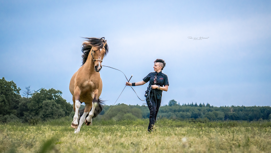 Gina Lange Fotografie – Bild 2