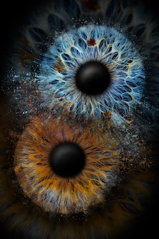 Eyepixx Iris-Fotografie Stuttgart – Bild 3