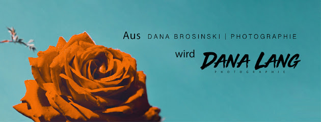 DANA LANG Studios